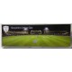 Ageas Bowl Fridge Magnet (Night)