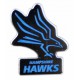 Hampshire Hawks Pin Badge